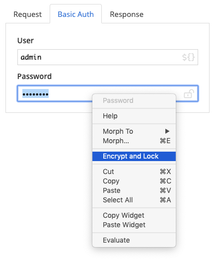 encrypt_and_lock